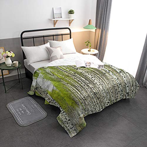 Arts Language Cool Summer Bedspread Quilt Lush Birch Forest All-Season Comforter Duvet Insert or Stand-Alone Comforter, Comfortable Air Conditioning Bed/Sofa Blanket for Adults Kids 98x98in