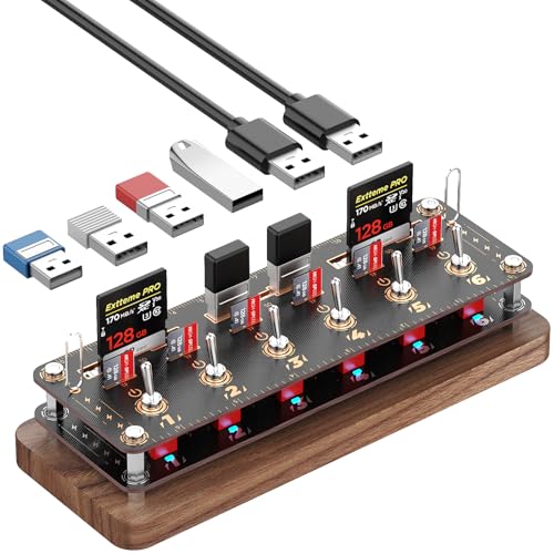 FEIFANZHE Walnut Cyberpunk USB Docking Station for