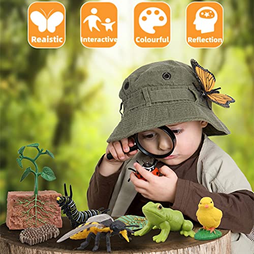 Montessori Life Cycle Animal Figures with Flash Cards, Realistic Animal Plant - Bild 4 von 71