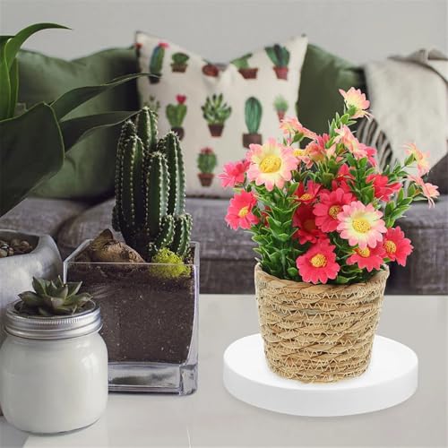 Support plante roulettes 360 degres plastique robuste deplacement facile
