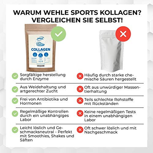 Collageen poeder 500 g, collageen hydrolysaat peptide, eiwitpoeder, smaakneutraal I Wehle Sports, Made in Germany… - Image 4