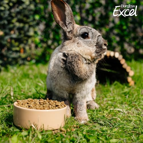 Burgess Excel Light Rabbit Food with Mint, 3kg - Weight Management Rabbit Nuggets - Pellets for Overweight Rabbits (Pack of 2) - Image 3