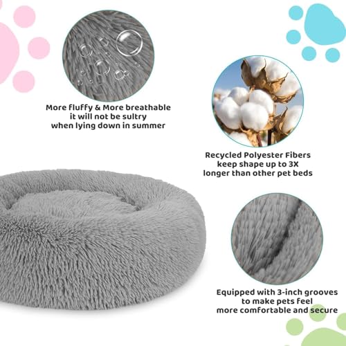 Mascotas, Pet Products Imagen adicional