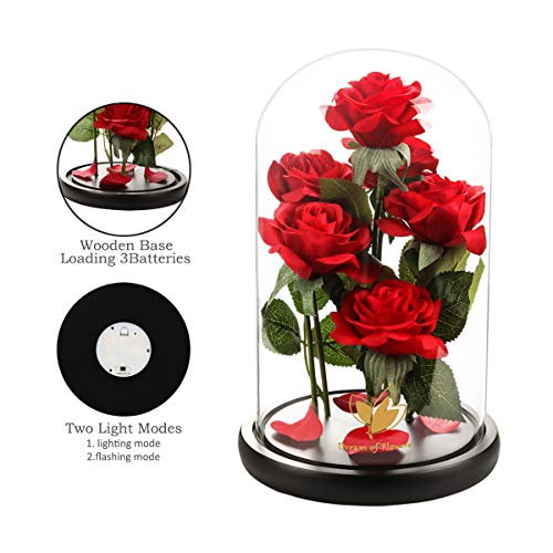 Christmas Day Flowers Gifts for Women,Beauty and The Beast Rose,Artificial Silk Rose Preserved Forever in Glass Dome,Anniversary,Thanksgiving,Birthday Gifts Flower Roses Gifts for Mom Wife Girlfriend - Image 3