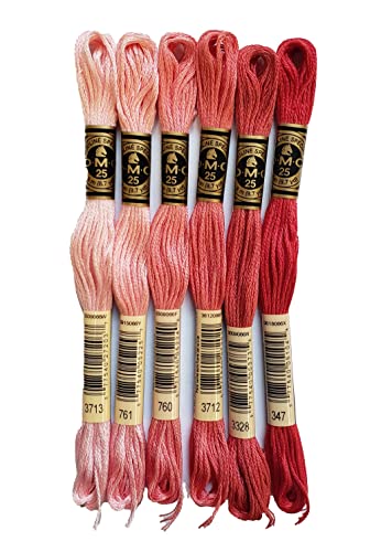 Image of DMC 6-Strand Embroidery Cotton Bundle - Salmon Color Family - 6 Skeins of Thread - 8.7yd Skeins