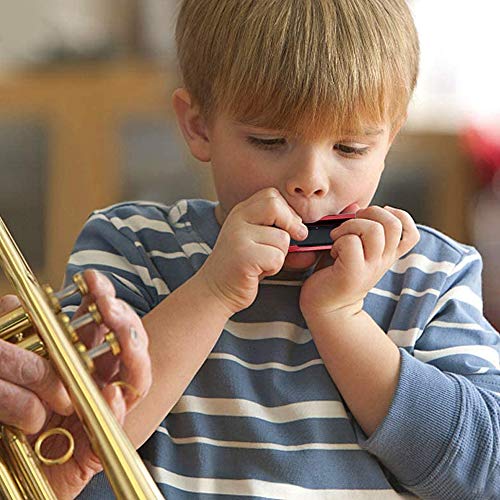 Harmonica 10 Trous,Harmonica Diatonique Standard,Harmonica pour enfants,Harmonica de blues,Harmonica,Harmonica 10 trous… - Les Beatles, Paul McCartney, John Lennon, RIngo Starr, George Harrison Harmonica 10 Trous,Harmonica Diatonique Standard,Harmonica pour enfants,Harmonica de blues,Harmonica,Harmonica 10 trous… – Image 6