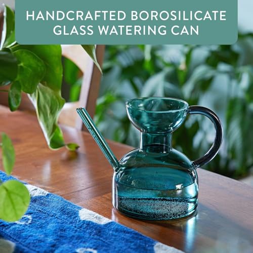 Modern Sprout Plant Watering Can - Handcrafted from Borosilicate Glass - Long Spout Vessel for Indoor Plants - 32 Oz Capacity - Multipurpose Watering Can and Flower Vase for Houseplants (Teal) by Modern Sprout - Image 4