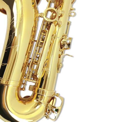 YoungMonic Novo instrumento de sopro de madeira para saxofone alto de latão banhado a ouro e saxofon