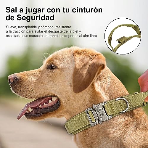 Collares Y Correas, Pet Products Imagen adicional