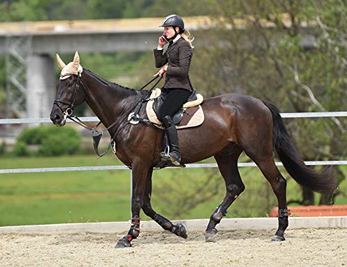 Chinfun Women's Riding Tights High Rise Pull-On Knee Patch Grip Ventilated Active Equestrian Pants Schooling Riding Breeches Deep Khaki Size Xs #TOP5