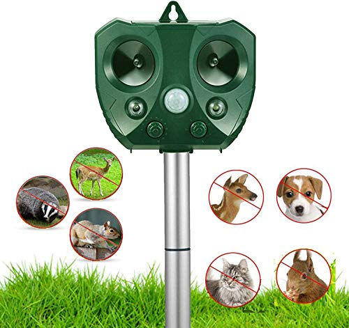 Best Motion Sensor Deer Repellent