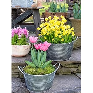 Gardener's Supply Company Galvanized Planter | Indoor Outdoor Sturdy Vintage Style Wash Basin Farmhouse Metal Tub Container with Handles | Medium & Large (Set of 2) Gardeners Supply Company Galvanized Planter Indoor Outdoor Sturdy Vintage Style Wash Basin Farmhouse Metal Tub Container with Handles Medium Large Set of 2
