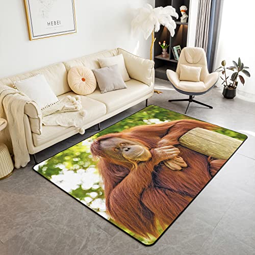 Loussiesd Baboon Area Rug Zoo Animal Rug for Living Room Bedroom Soft Monkey Orangutan Carpet Rug Indoor Floor Mat Accent Rug for Playing Room Kitchen Home 100 * 150cm