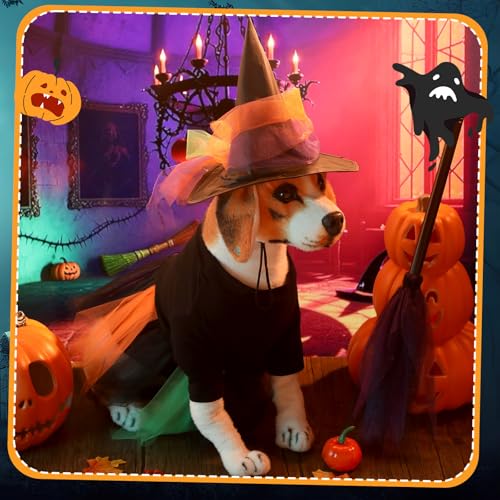 Disfraz Halloween con tutú y sombrero para mascotas pequeñas miniatura 5