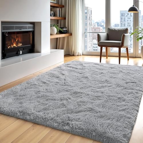 Zentavio Area Rugs for Living Room Grey Rugs for...