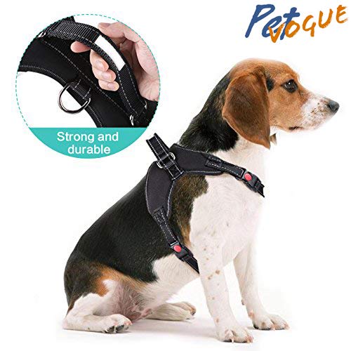 Petvogue dog harness Clearance