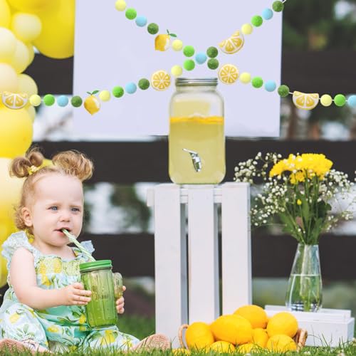 Image of JarThenaAMCS Summer Felt Banner 3D Yellow Green Blue Lemon Pom Ball Garland No DIY Required Bunting for Party Supplies Hanging Decoration