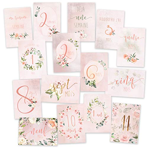 15 Cartes étapes bébé 'ma première année' Rose 2 : de 1 semaine à 1 an Cover