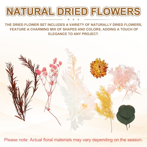 uxcell Set Natural de Flores Secas para Manualidades miniatura 3