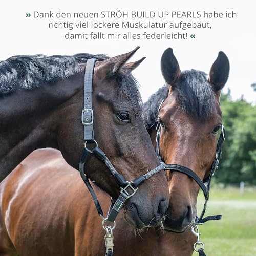 STRÖH Build Up Pearls für Pferde (1,4 kg) • Für Muskelaufbau & Kondition • Aminosäuren-Komplex mit Vitaminen • Unterstützt Regeneration & Leistung • Für Sport- & Freizeitpferde
