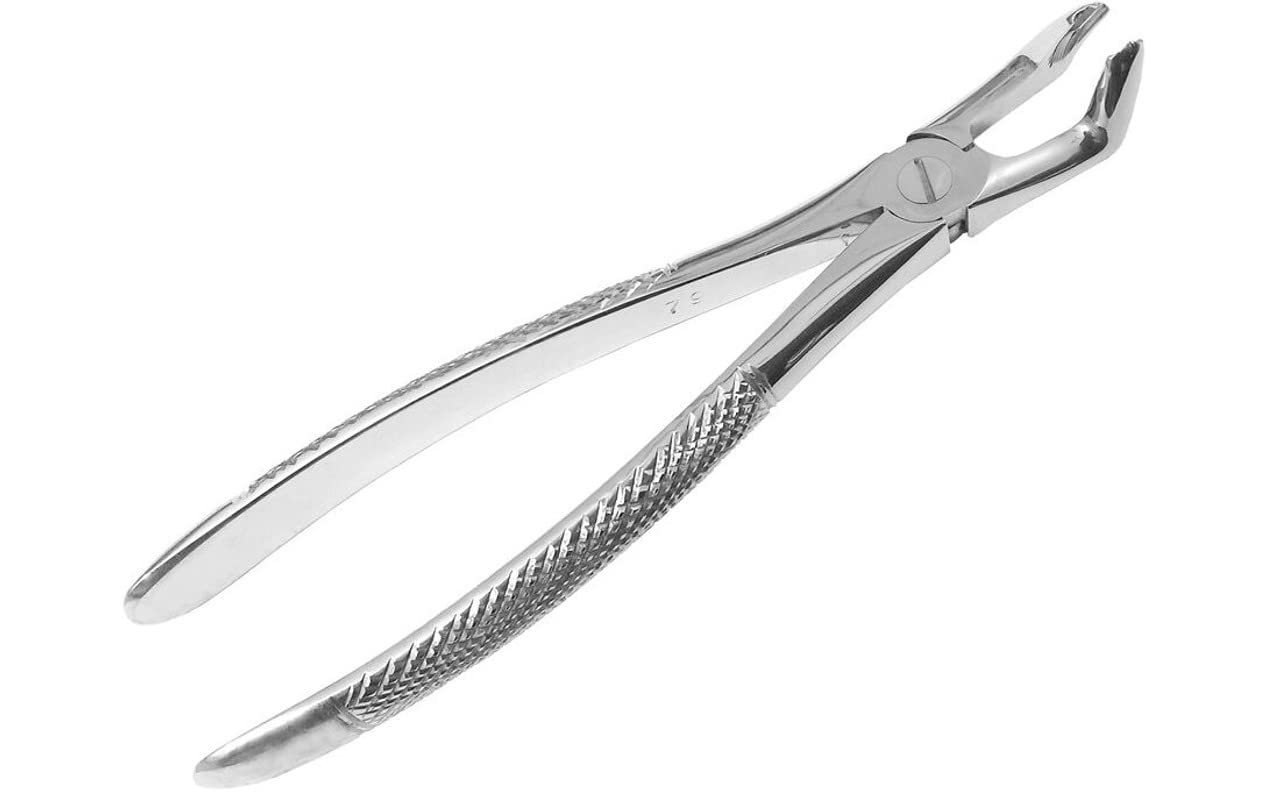 Forgesy Tooth Extraction Forcep No 79 Lower Third Molars & Wisdoms (Pack Of 1) (B08LSH6STK) Amazon Price History, Amazon Price Tracker