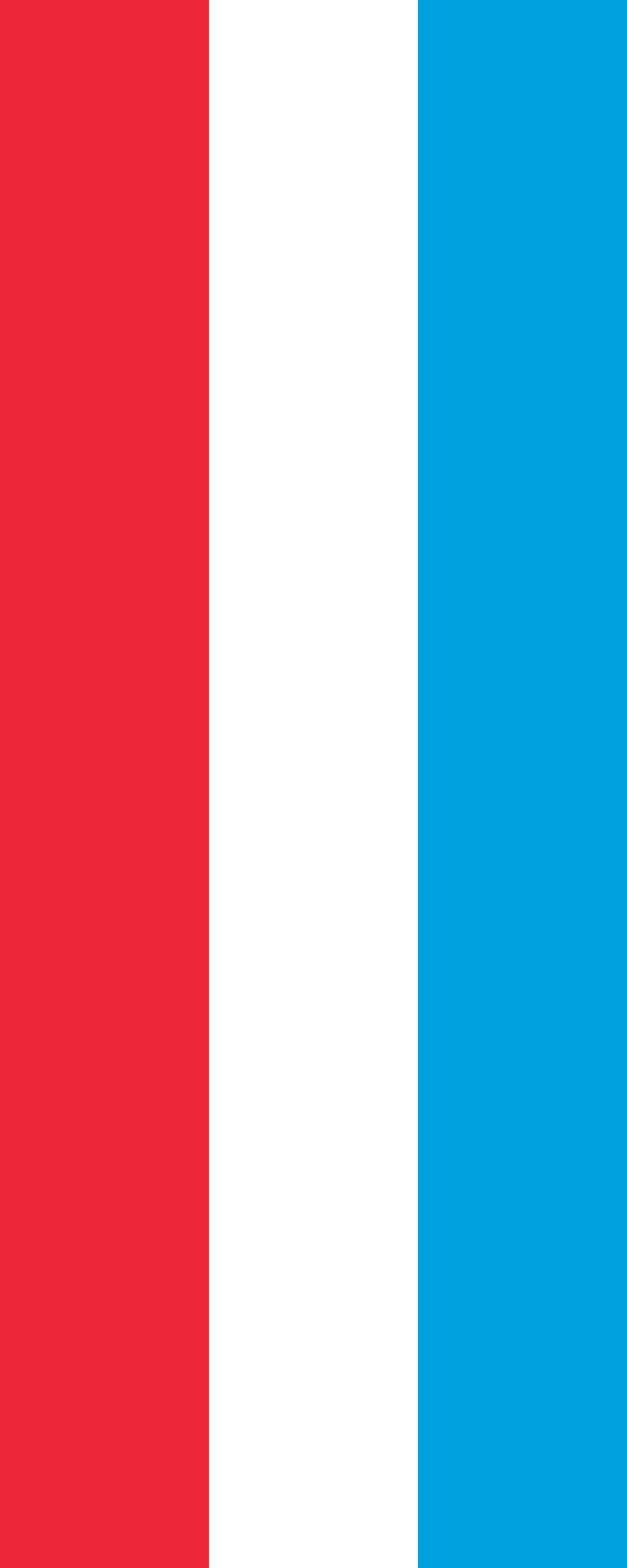 Drapeau Luxembourg de haute qualité textile 3.5m² en 300x120cm