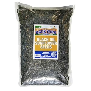 CountryMax Backyard Seeds Black Oil Sunflower (10 Pounds) CountryMax Backyard Seeds Black Oil Sunflower 10 Pounds