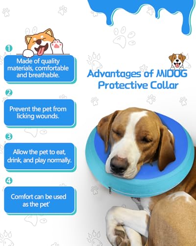 Image of MIDOG Inflatable Dog Cone, Donut Recovery Collar After Surgery, Medium+