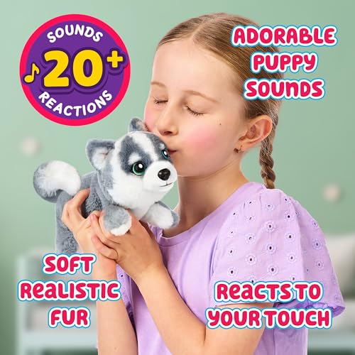 Little Live Pets My Really Real Puppy Minis – Aurora der Husky, interaktiver Puppy mit 20+ Geräuschen und Reaktionen, inklusive Korb zum Präsentieren, niedliches Geschenk für Kinder (11 cm groß)