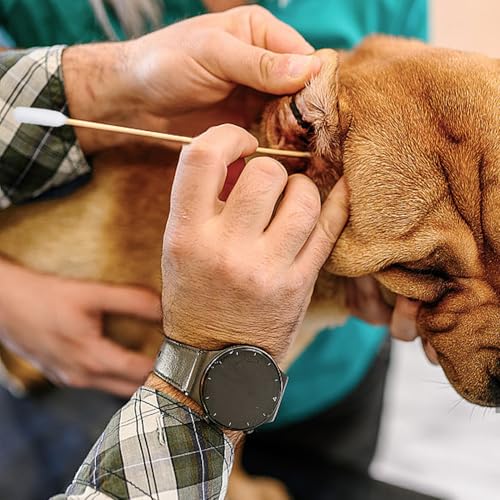 KMKANPO 50 Stück 15cm Hunde Wattestäbchen,Ohrreiniger für Haustiere,Ohrreinigungsstäbchen für Hunde,Wattestäbchen mit Doppelter Runder Spitze,Baumwolle Ohrenstäbchen für Haustiere,Hund,Katze