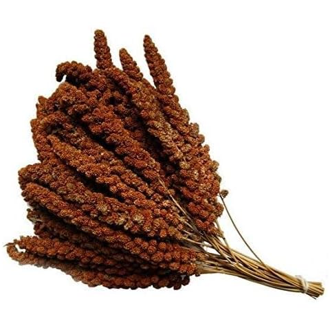 VIONIA® RED Millet | RED Millet Spray 250G | RED Millet Spray For Birds | Cage and Aviary Food 250G PREMIUM RED MILLET SPRAY HANGING CAGE BIRD TREAT BUDGIE CANARIES COCKATIELS WEIGH OUT BAG 250G Cover