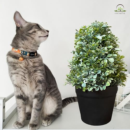Image of Artificial Realistic Round Leaves Bonsai Potted Plant for Home Office Kitchen Living Room Hotel Restorent Table Corner Center Piece | Natural Look | Show Piece | 36 cm