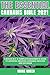 Produktbild The Essential Cannabis Bible 2021: 3 books in 1: A Complete Beginner's Guide to Growing Amazing Cannabis Indoors and Outdoor