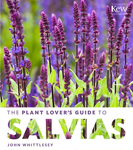 The Plant Lover's Guide to Salvias