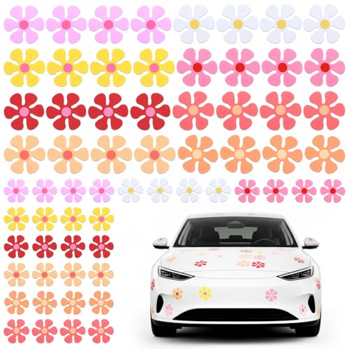 64 imanes florales retro en 8 colores