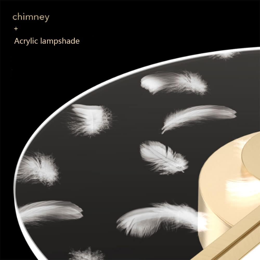 LED Round Ceiling Lamp Fixture Rings Acrylic Flush Mount Ceiling Chandelier Compatible with Bedroom Living Room Kitchen