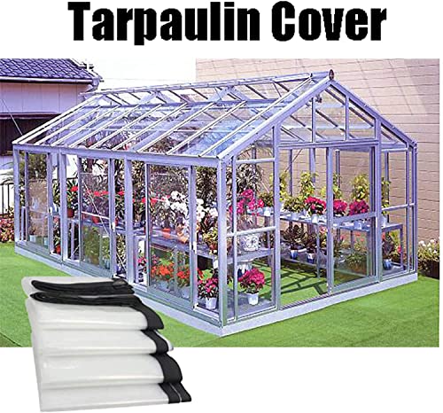 Lona impermeable resistente de 8 x 4 m transparente con ojales reforzados 3