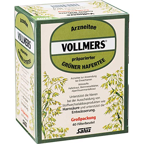 VOLLMERS präparierter grüner Hafertee Filterbeutel 40 St
