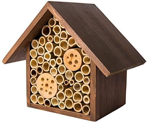 Scare Eye Bird Repellent