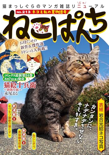 『ねこぱんち』213巻
