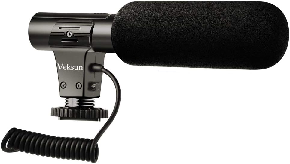 Camera video microphone