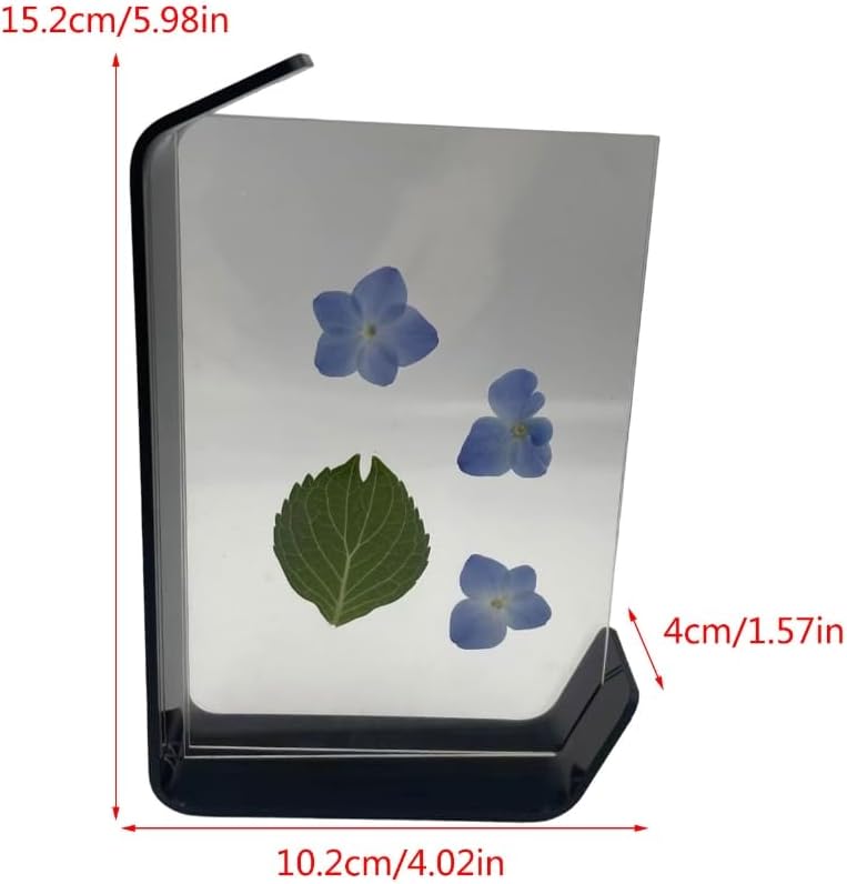 Desktop Creative Leaf Sculpture Plant Flower Specimen Display Stand Photo Frame