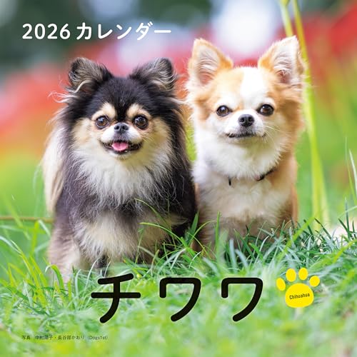 2026年カレンダー チワワ (誠文堂新光社カレンダー)のサムネイル