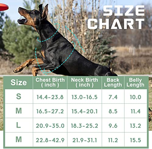 Bumbin Tactical Dog Harness For Medium Dogs No Pull, Famous Tik Tok No Pull Dog Harness, Fit Smart Reflective Pet Walking Harness For Training, Adjustable Dog Vest Harness With Handle Purple M #TOP1