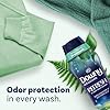 Downy Infusions In-Wash Laundry Scent Booster Beads, REFRESH, Botanical Florals and Birch Water, 18.2 oz #5