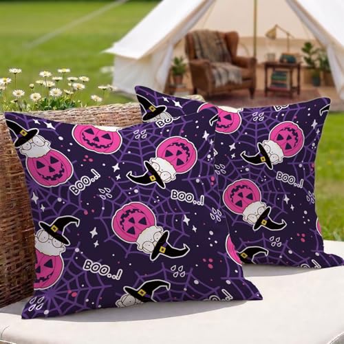 �N�b�V�����J�o�[�n���E�B���h�� ���O 2���Z�b�g 30x30 cm ���l�� ���ʈ�� ���� ���O�p �N�b�V���� �P�[�X ���� �O ���p �A�E�g�h�A �L�����v �x�����_ �� �e���X �\�t�@�[�p (��) 3Z-317
