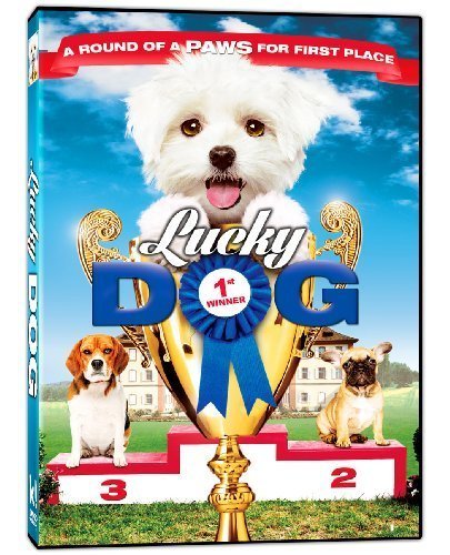Lucky Dog by Phase 4 Films by Huayang Fu