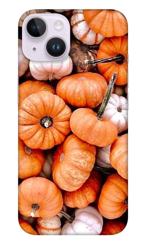 Next Door Enterprises Pumpy Back Cover for Apple iPhone 14 (Poly Carbonate | Multicolor)