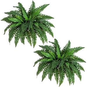 Nearly Natural 40IN Artificial Boston Fern Large Hanging Plant, Set of 2 Artificial Ferns that Look Real for Home Décor