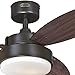 Westinghouse 7201900 Alloy Indoor Ceiling Fan with Light, 42 in, Oil Rubbed Bronze